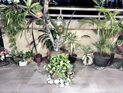 Blk 469 Jurong West Street 41 (Jurong West), HDB Executive #459531071